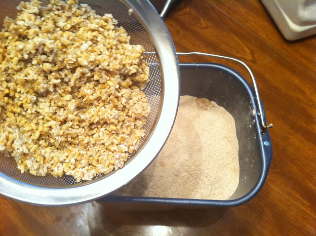 Adding Drained Steel Cut Oats