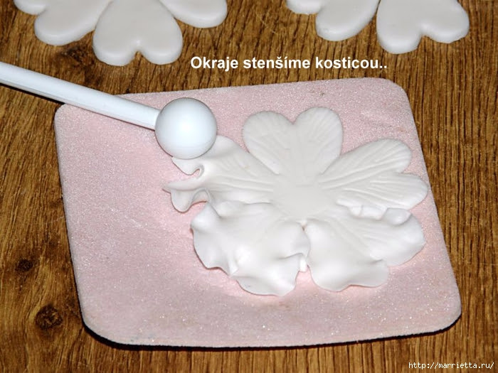 Modelado de masilla de azúcar para las tortas. flores hermosas. Master Class (5) (700x525, 277KB)