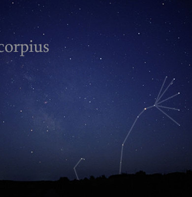 95 Gambar Rasi Bintang Scorpio Paling Bagus