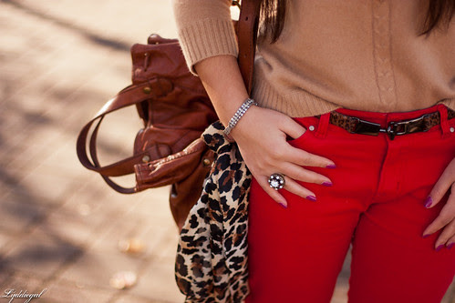 leopard and red (again)