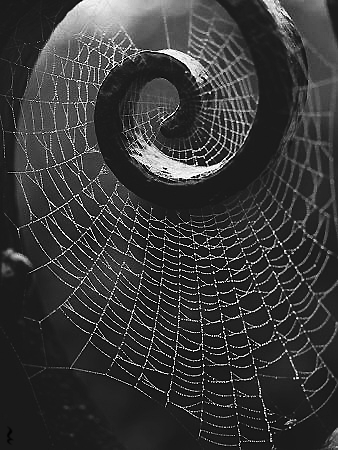 darkestdee:

LIFE IS ONE BIG SPIDER&#8217;S WEB

WE ARE CAUGHT IN THE WEB.
WE MUST FREE OURSELVES.
THE PEOPLE OF OASIS CALL OUT TO US
TO SAVE THEM AND THEIR TOWN.
THE DEAD GAME HAS BEGUN.