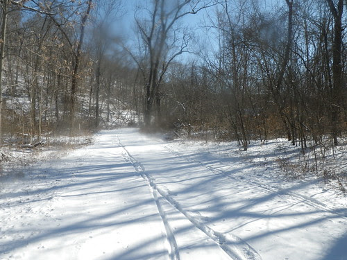 IMGP0098