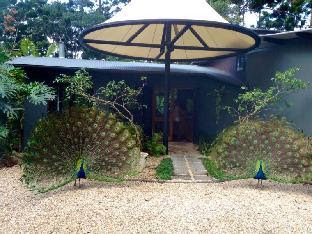 Azabu Guesthouse Byron Bay