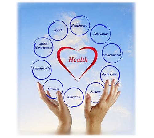 Image result for Why is Holistic Health Care so Important?