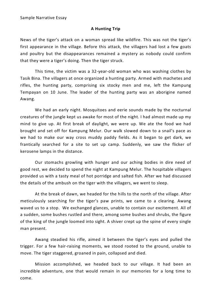 sample of narrative essay pdf