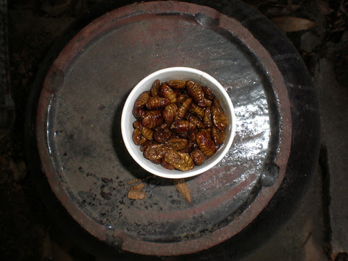 Roasted silkworms to eat, Jeondeungsa, Ganghwa Island