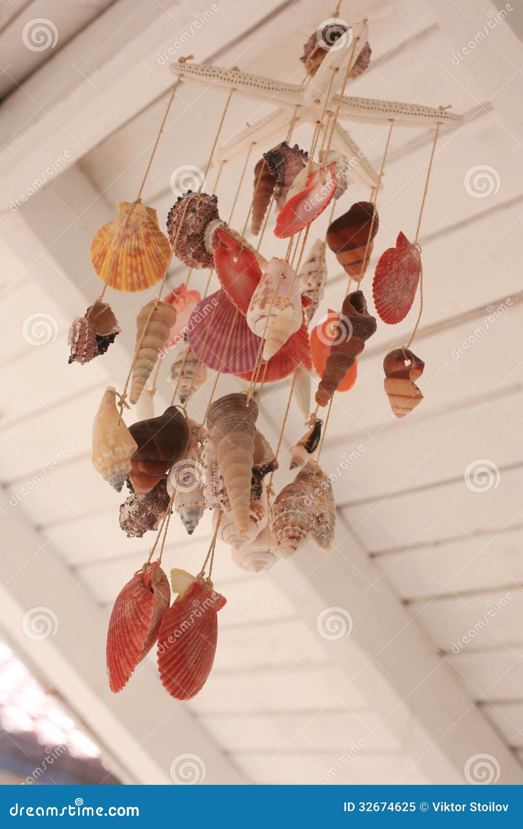 Sea Shell Decor Royalty Free Stock Photo - Image: 32674625