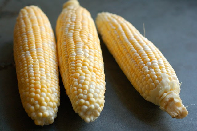 Sweet corn by Eve Fox, Garden of Eating blog, copyright 2012