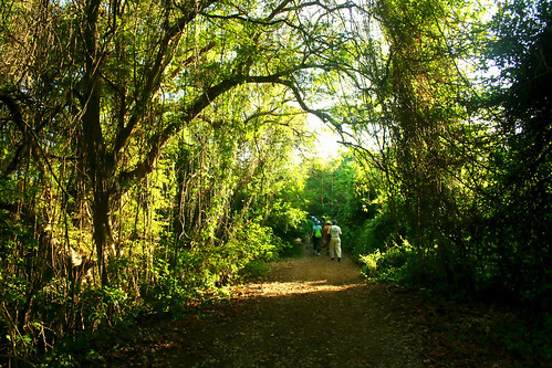 heading into the gully