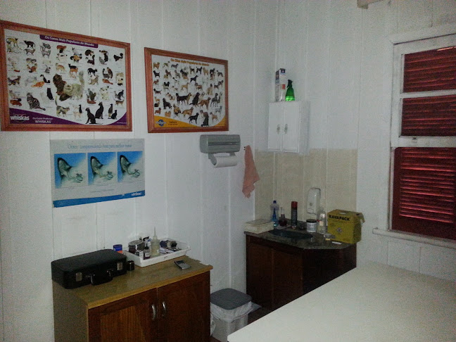 Clínica Veterinária Pegadas - Veterinário