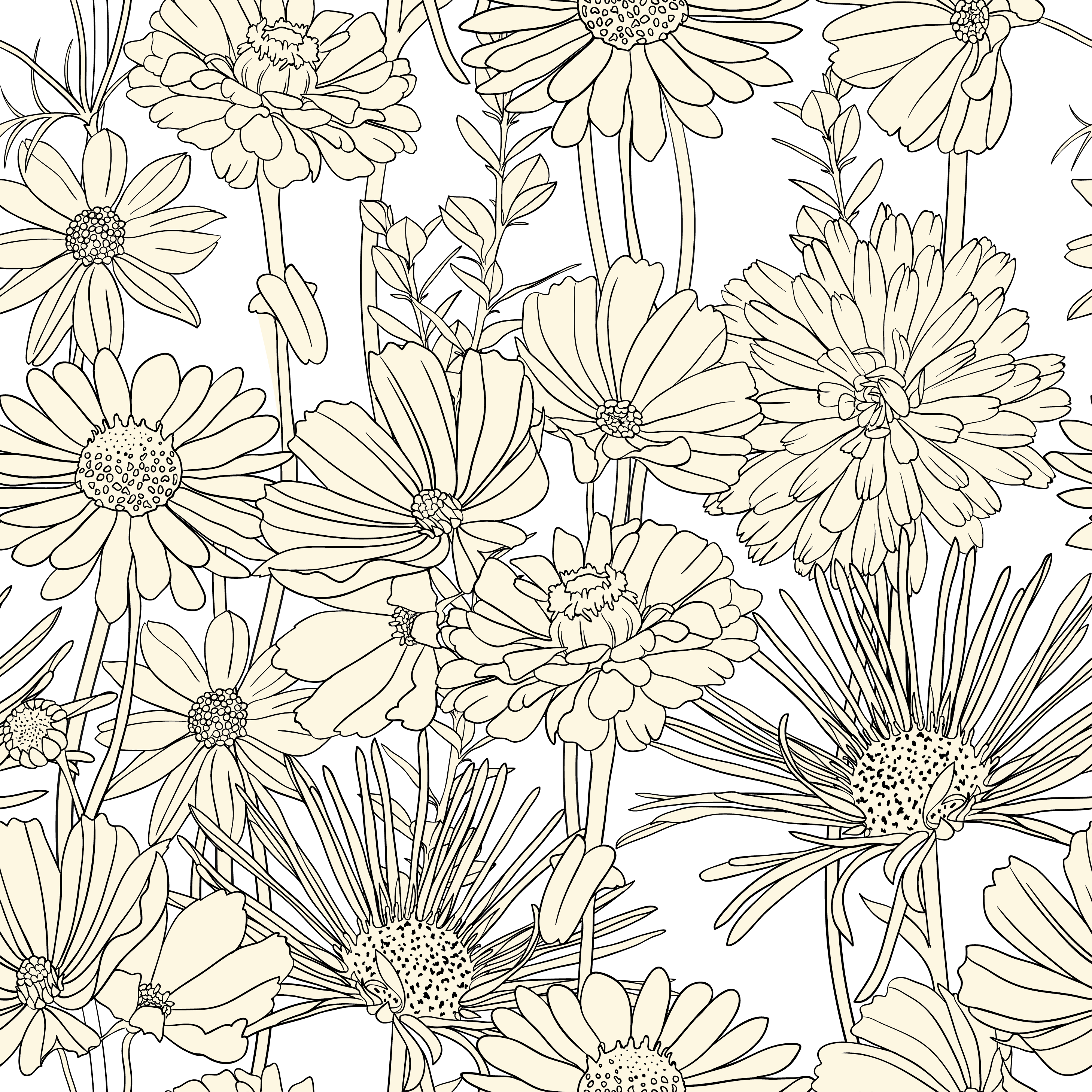 Line Drawing Flowers Png ~ Drawing