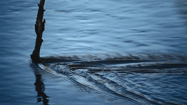 Animated Cinemagraphs of City Life and Nature by Julien Douvier Animated Cinemagraphs of City Life and Nature by Julien Douvier gifs