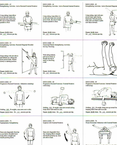 Upper Body Theraband Exercises For Seniors – Exercise