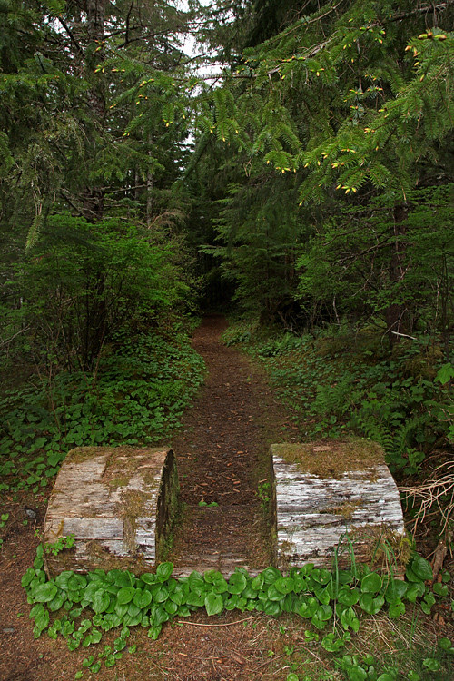 begin of trail to Chief Son-i-Hat Whale House, Kasaan, Alaska