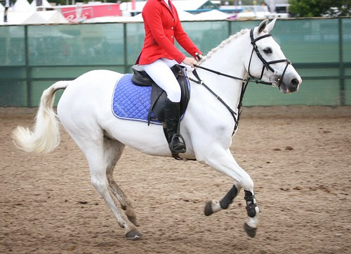 Showjumping