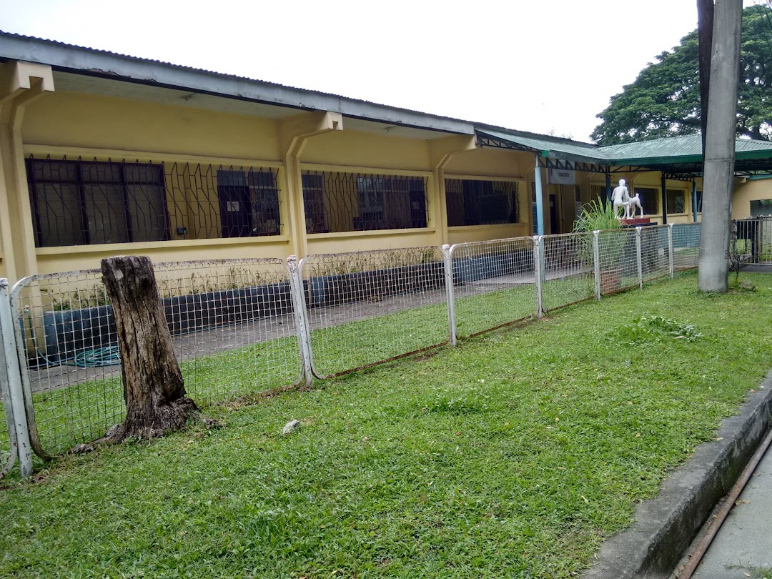 UP Veterinary Teaching Hospital, Diliman Station