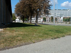 Foto-0026