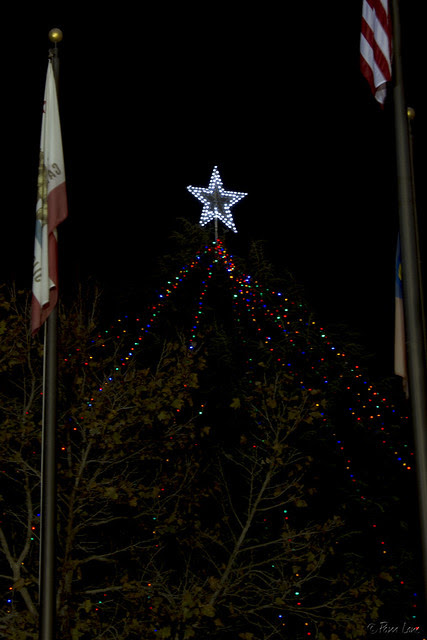 Downey Christmas tree