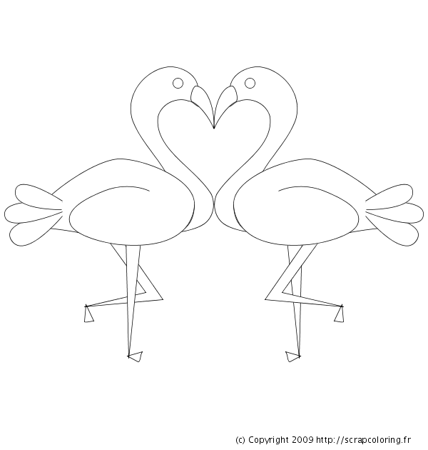 Coloriage Dessin Flamant Rose Facile  Dessin Facile