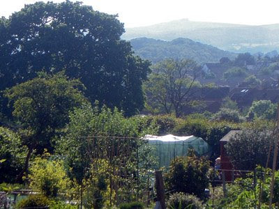 Valley view with Hay Tor in distance. Valley view with Hay Tor in distance.