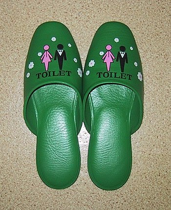 A pair of toilet slippers