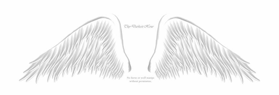 Featured image of post How To Draw Anime Angel Wings How to draw wings by serio555 on deviantart