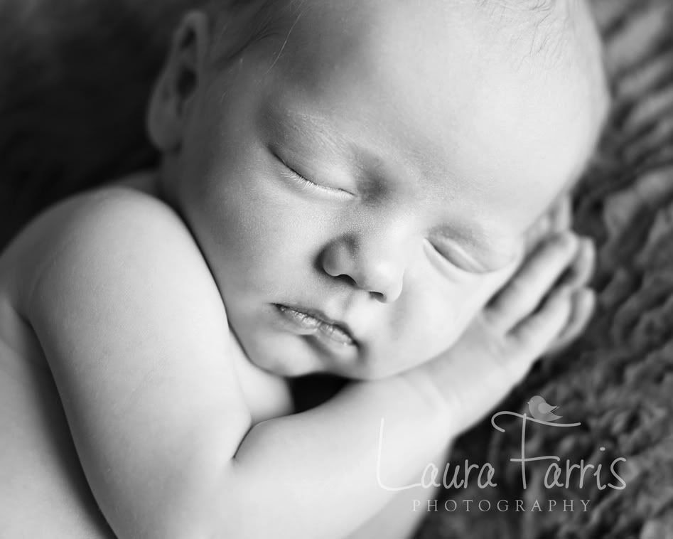 newborn photography boise