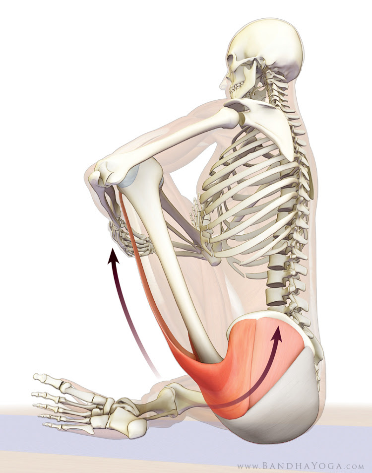 tensor fascia lata and gluteus medius in cradle stretch tensor fascia lata and gluteus medius in cradle stretch