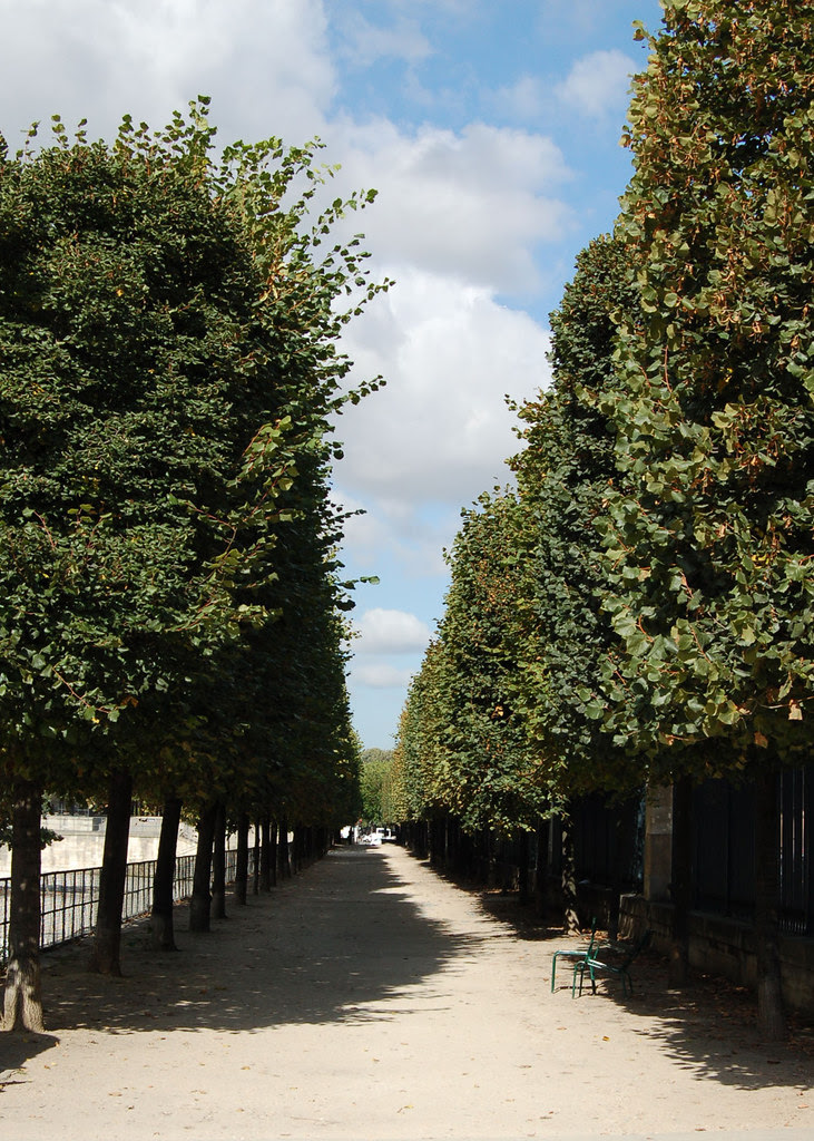 Tuileries Garden