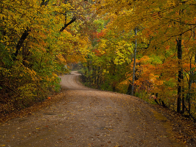 Fall!