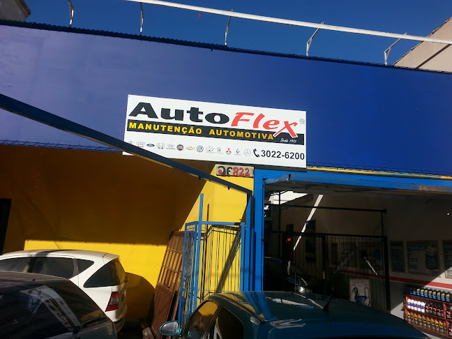 Autoflex Manutenção Automotiva - Porto Alegre