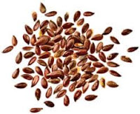 Αντιφλεγμονώδεις τροφές και βότανα! %CE%BB%CE%B9%CE%BD%CE%B1%CF%81%CF%8C%CF%83%CF%80%CE%BF%CF%81%CE%BF%CE%B9 Αντιφλεγμονώδεις τροφές και βότανα!