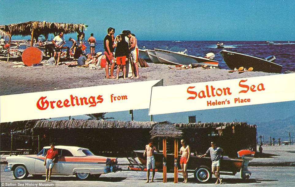 With business booming along the shore of the Salton Sea during that time period, it didn't seem like the area would slow down. However, little resources were used to actually manage and maintain what as called the 'accidental lake' since developers and officials poured money into building up the desert oasis cities. Pictured above is a postcard showing people enjoying the Salton Sea in the 1950s