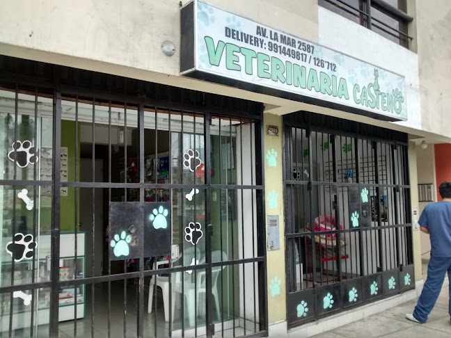 Opiniones de Veterinaria Casteno en San Miguel - Veterinario