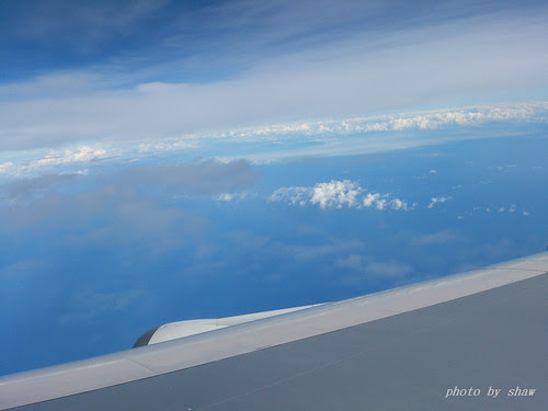 DSC_0992.jpg