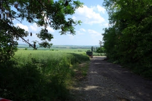 Volkenrodawandeling2