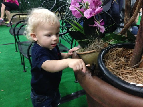 photo-15