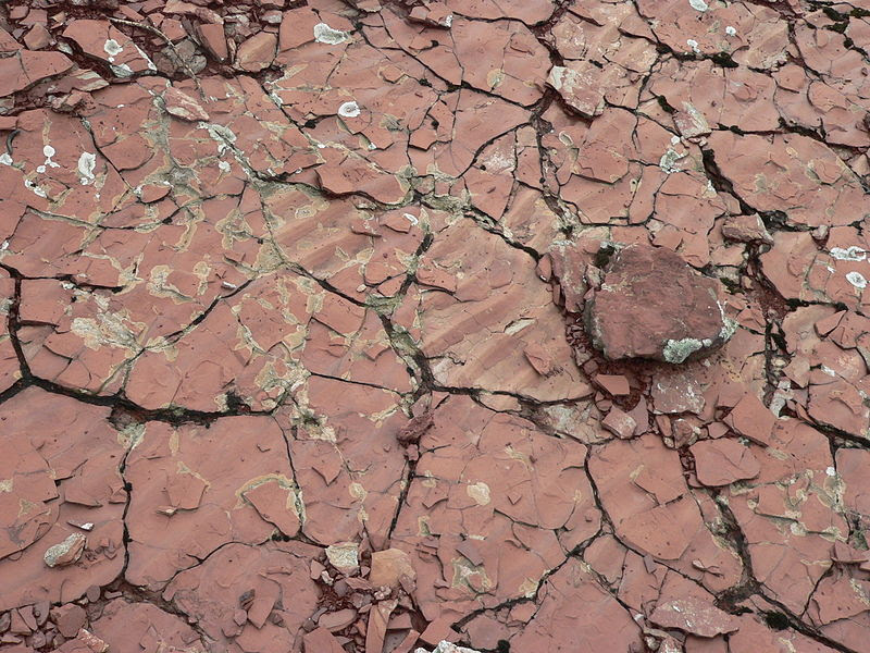 File:SalagouRippleMarks.JPG
