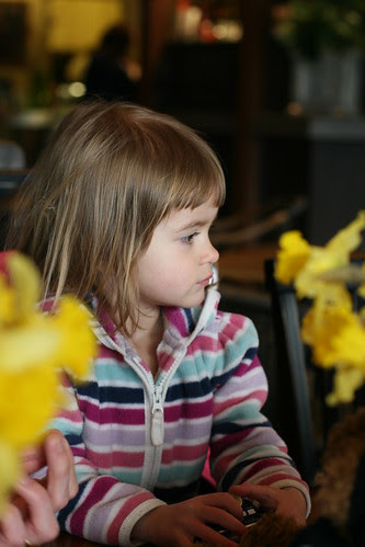 daffodil-girl