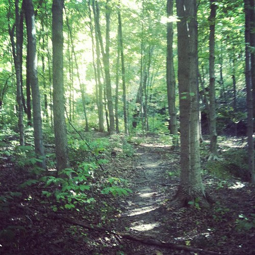 This is my playground this morning. :)