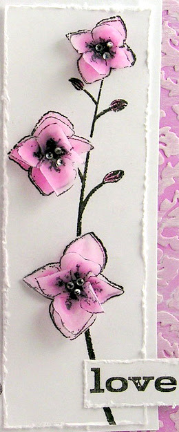 Orchid2 Orchid2