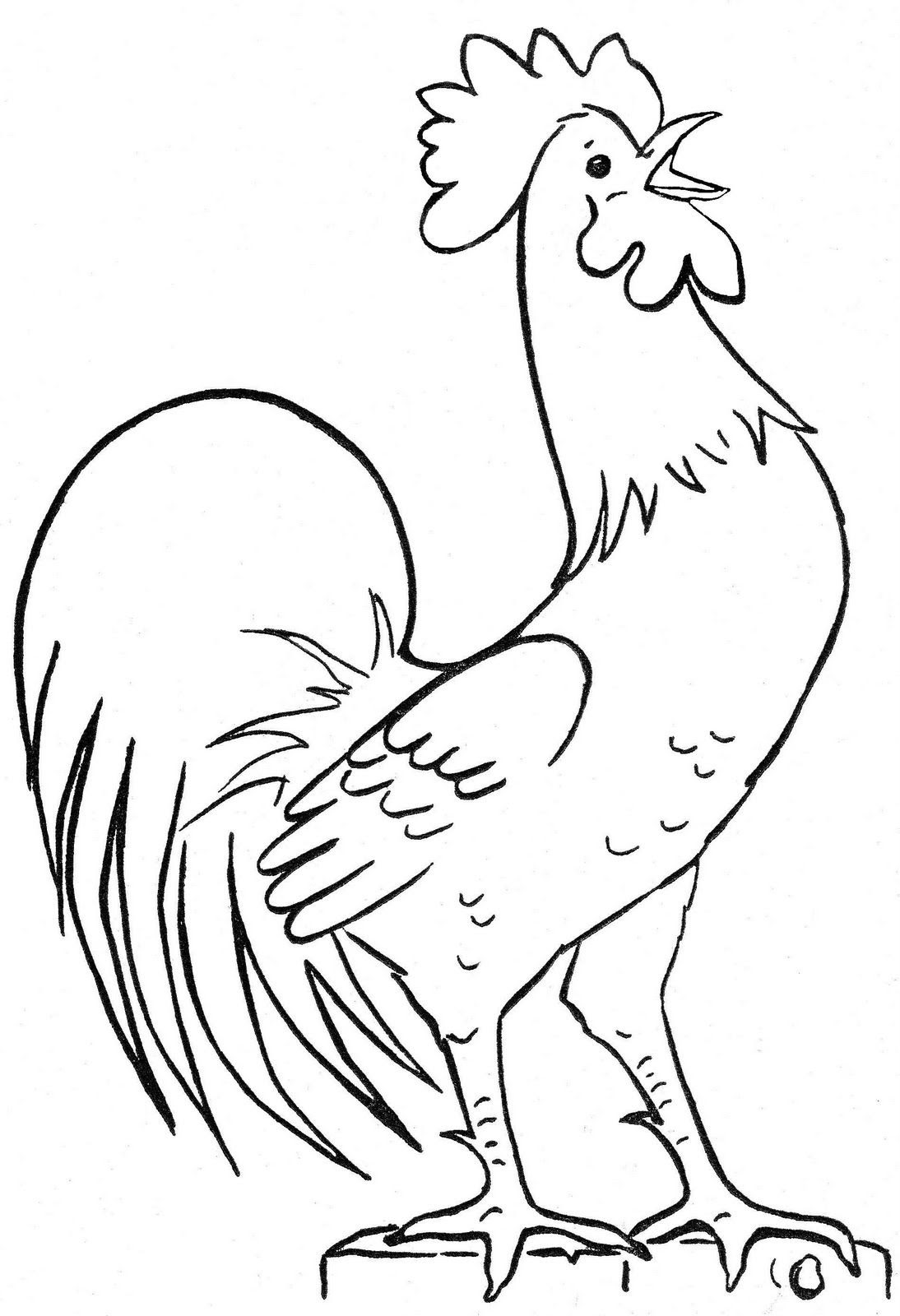 Rooster Drawings Outline www.imgkid.com The Image Kid Has It! Rooster Drawings Outline www.imgkid.com The Image Kid Has It!