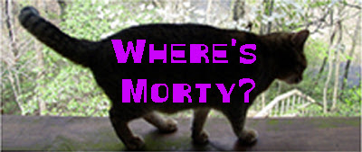 Cat photos: Where's Morty?