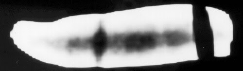 sidect