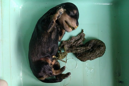 20120627T161945.jpg