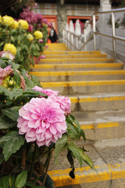 Stairs leading to the Po Lin Monastery on Lantau Island