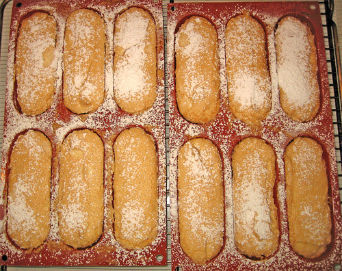 savoiardi (second editon)