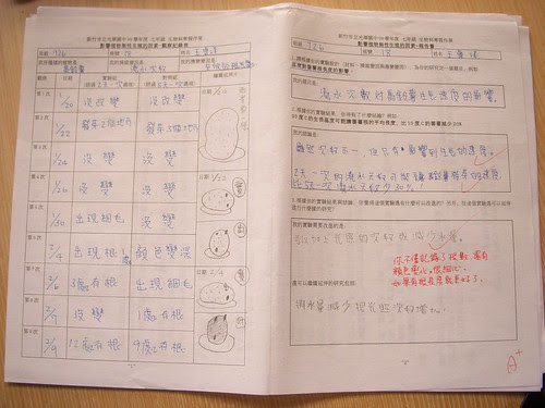 DSCN3290.JPG