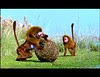mandriucari babookari