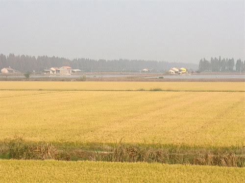 Countryside outside Wushan